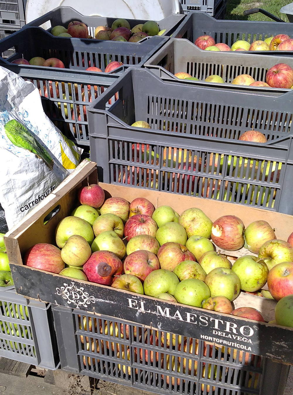 jus%20de%20pomme%202025 jus%20de%20pomme%202025